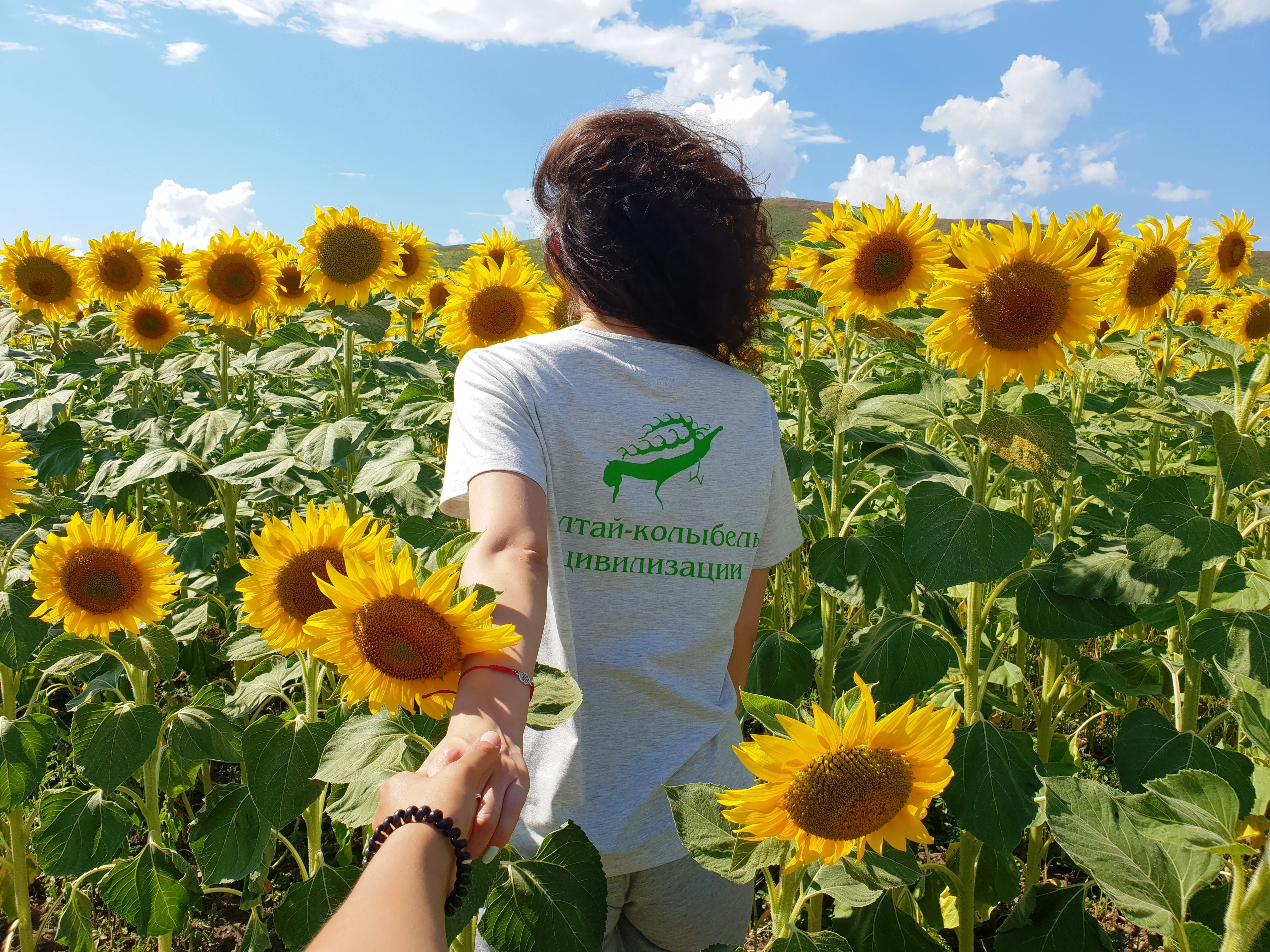 Алтай – колыбель цивилизации: итоги маршрута