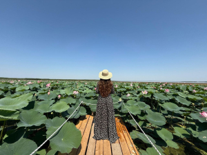 Атырау облысында «LOTUS FEST-2025» фестивалі өтеді